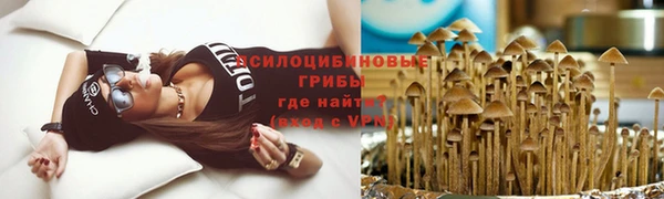 меф Армянск