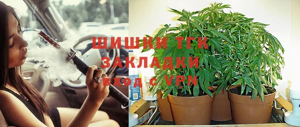трава Арсеньев